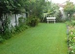 Lawn and Turf Grand Scene Landscaping & Design